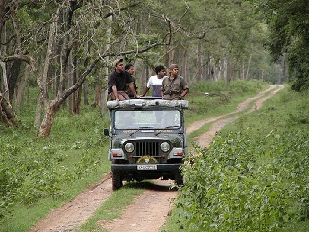 Game drive