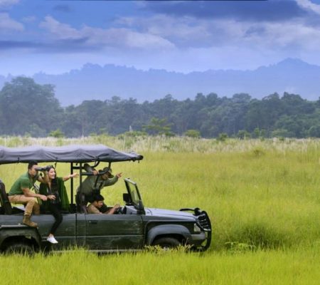 Game drive