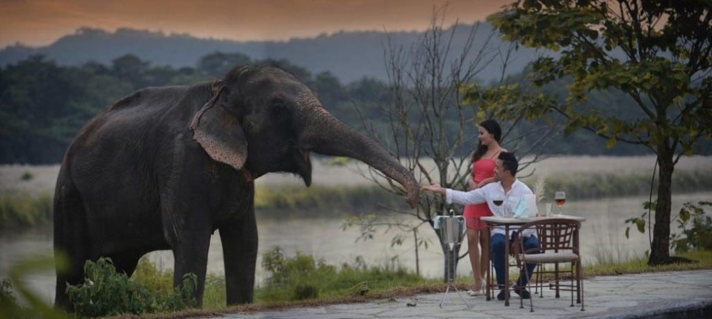 Barahi Jungle Lodge