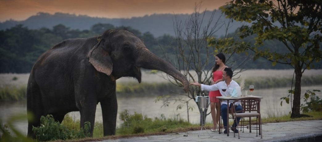 Olifant, Barahi Jungle Lodge