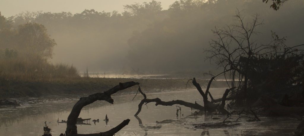 Bardia National Park