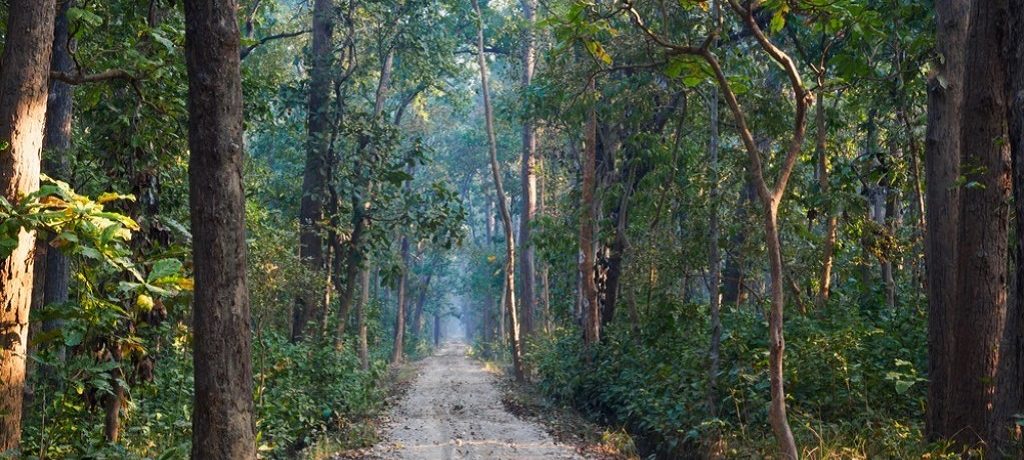 Bardia National Park