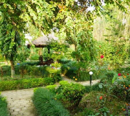 Tropische tuin