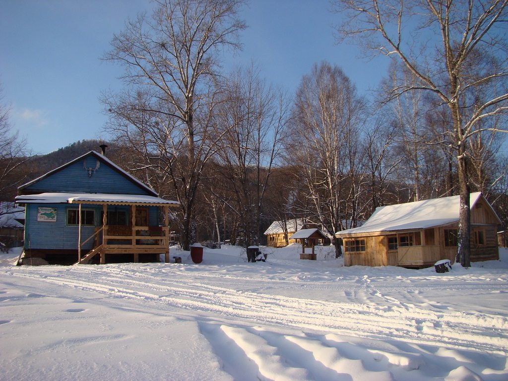 Siberian Tiger Lodge