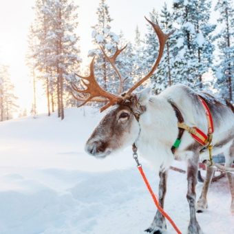 Activieiten Finland