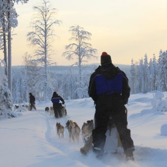 Beana Laponia, Fins Lapland, Finland