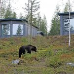 Luxury cabin, Taiga wouden, Finland, Europa