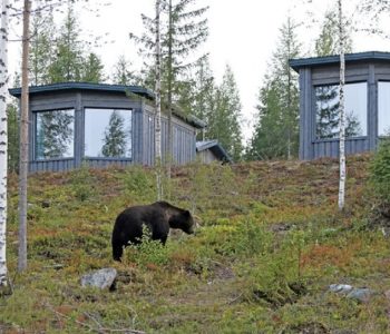 Beren observatie Lodge Luxury cabin, Taiga wouden, Finland, Europa