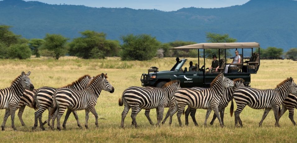 Lake Manyara, Tanzania