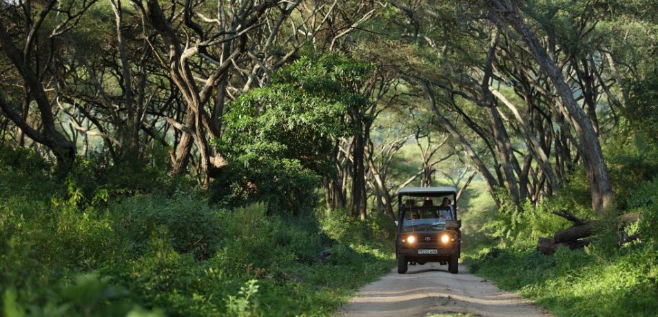 Lake Manyara, Tanzania