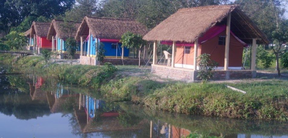 Koshi Tapu Wildlife Camp