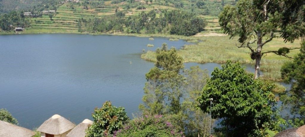 Birdnest-@-Bunyonyi