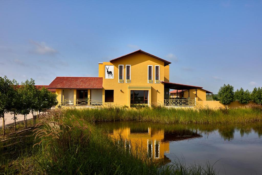 Blackbuck Safari Lodge