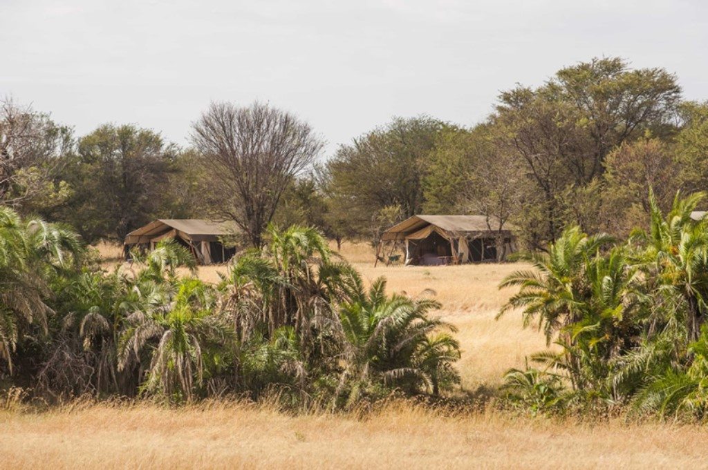 safari tenten