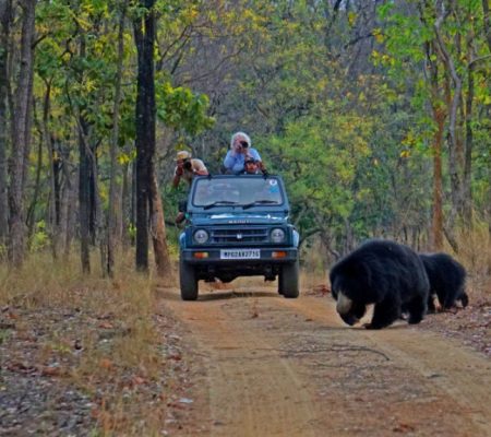 Game drive