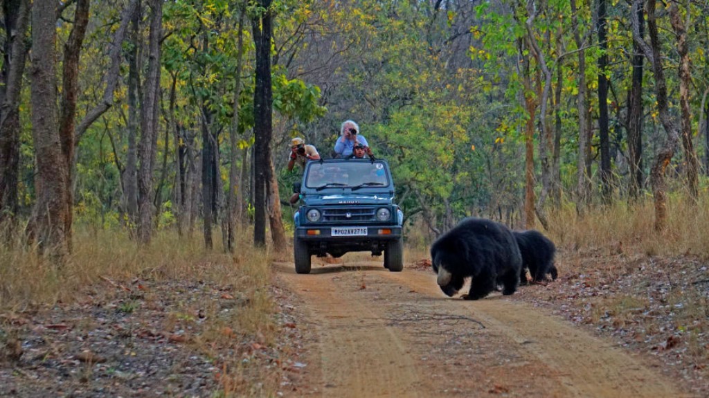 Game drive