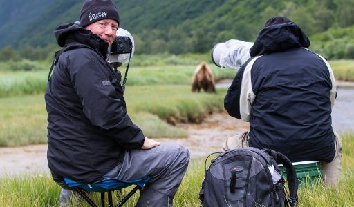 grizzly beren van kodiak tot katmai