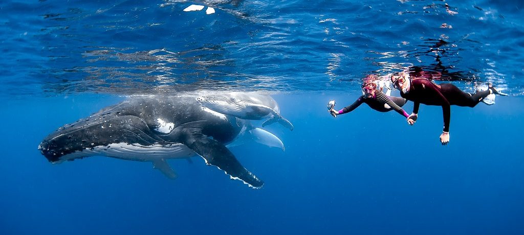 Tonga, Oceanië