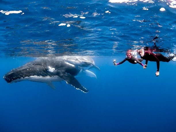 Tonga, Oceanië