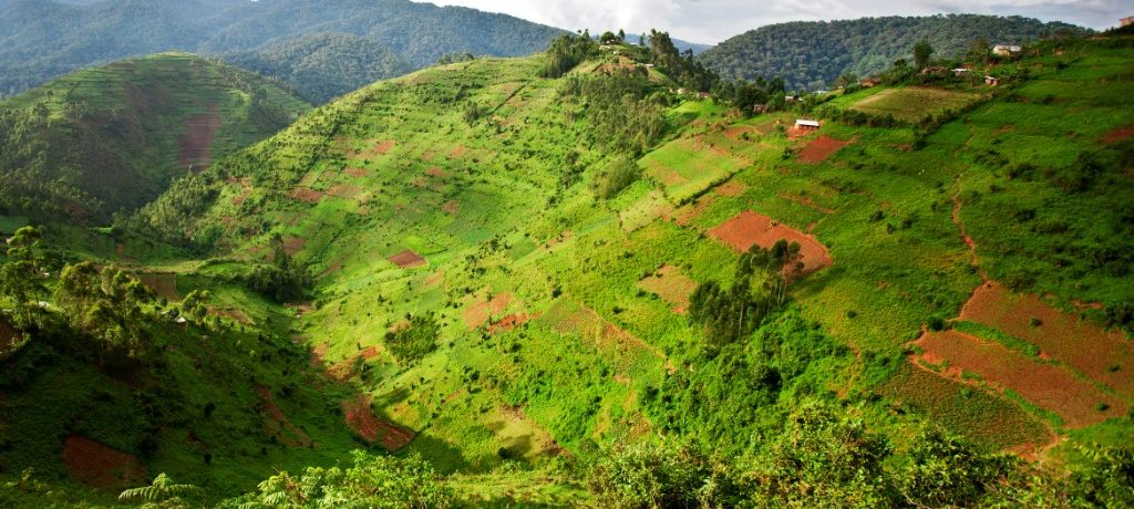 Bwindi, Oeganda - Shutterstock