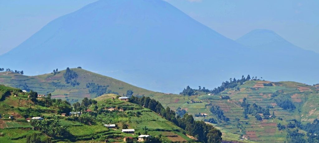 Bwindi, Congo & Oeganda - Shutterstock