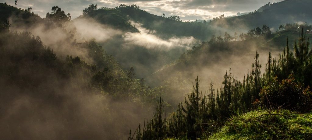 Bwindi, Oeganda - Shutterstock