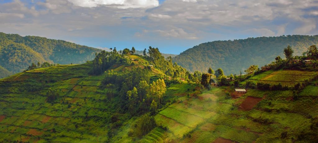 Bwindi, Oeganda - Shutterstock