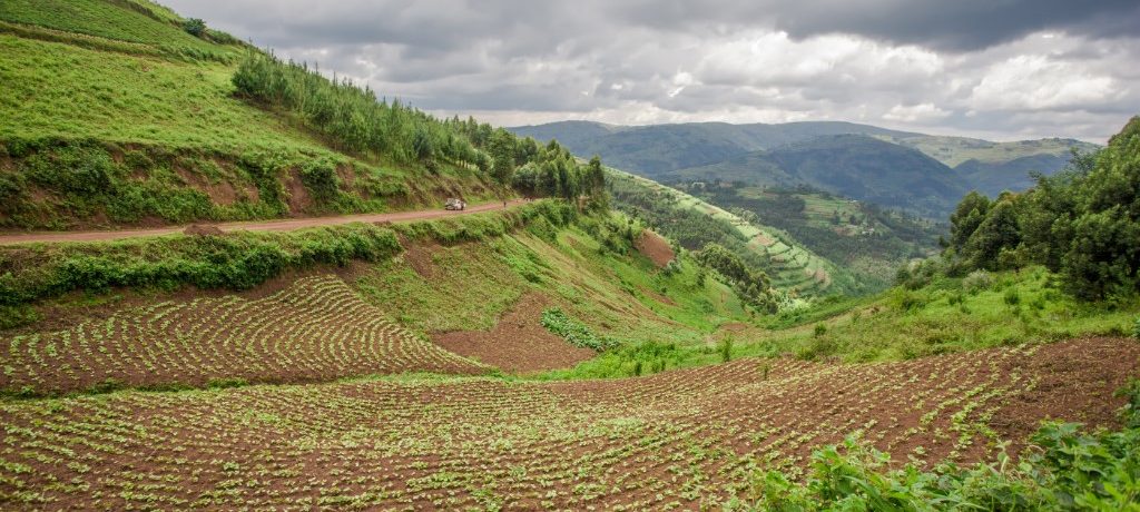 Bwindi, Oeganda - Shutterstock