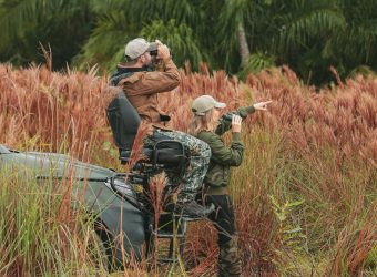 Safari Caiman Refuge