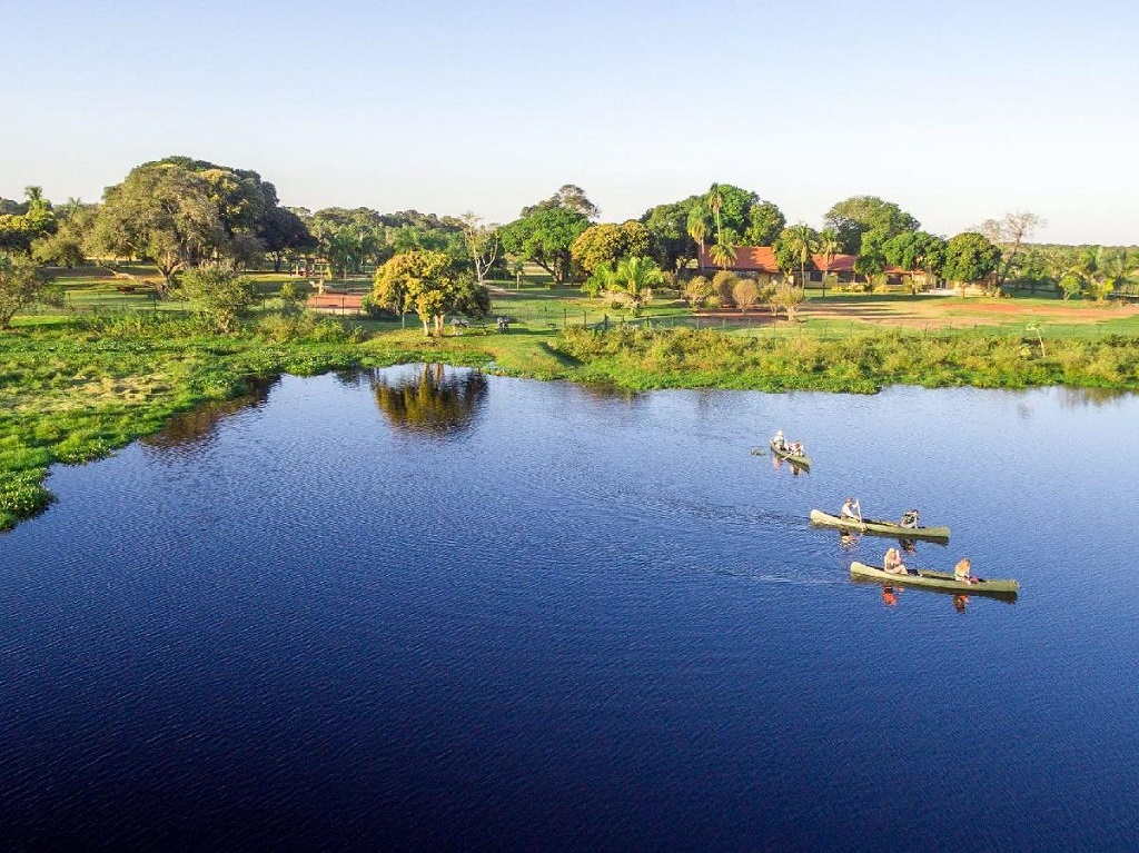 Kantocht Caiman Refuge