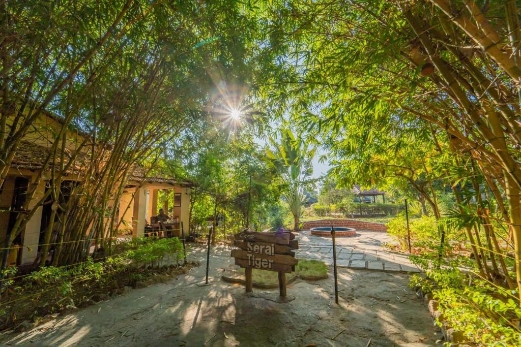 Camp Serai Tiger Tadoba safari lodge India