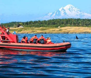 Zodiak, Pacific Rim, Vancouver Island, Canada - Shutterstock Pacific Rim, Canada