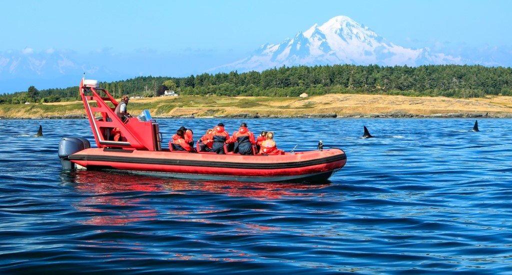 Pacific Rim, Canada