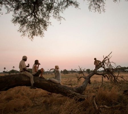 Chada Katavi Camp