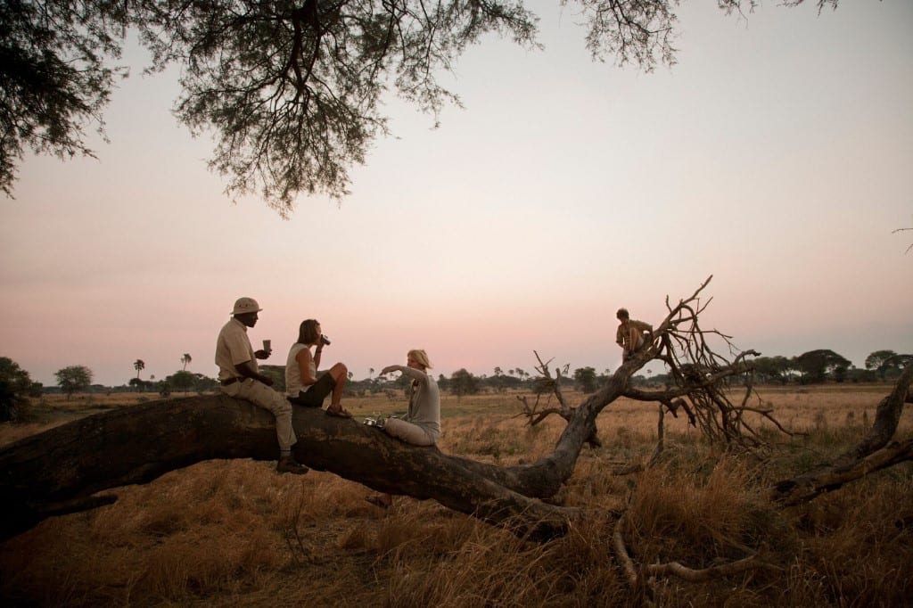 Chada Katavi Camp