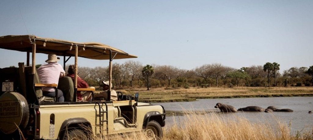 Game Drive