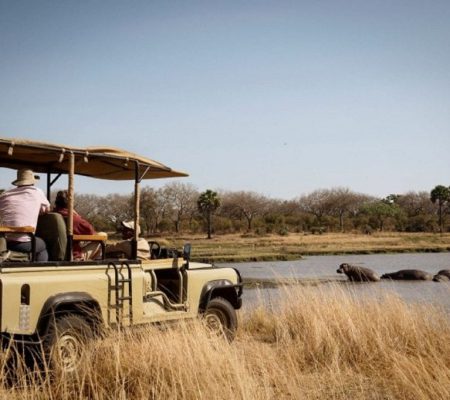 Game Drive