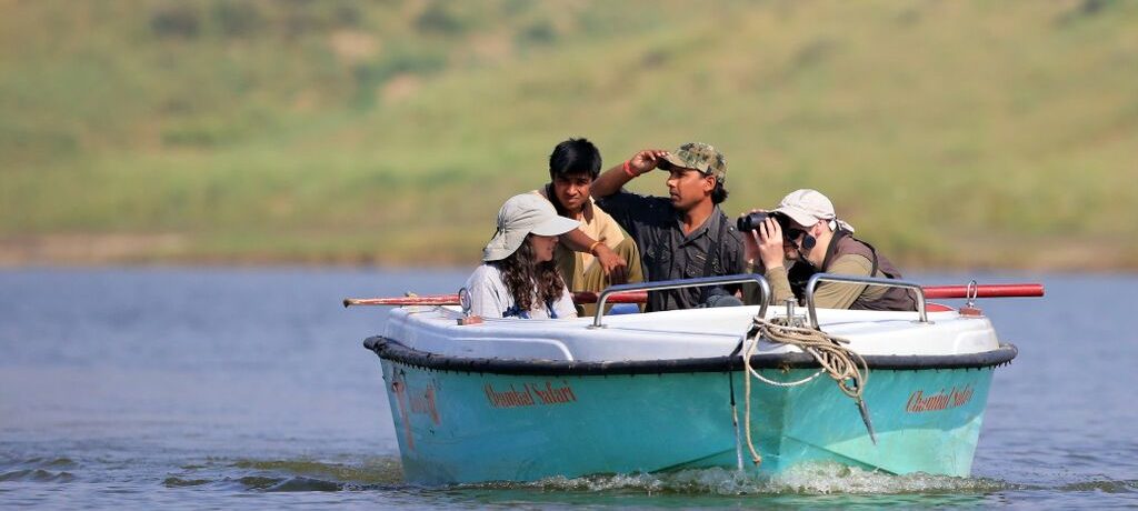 Chambal NS