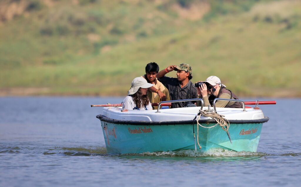 Chambal NS