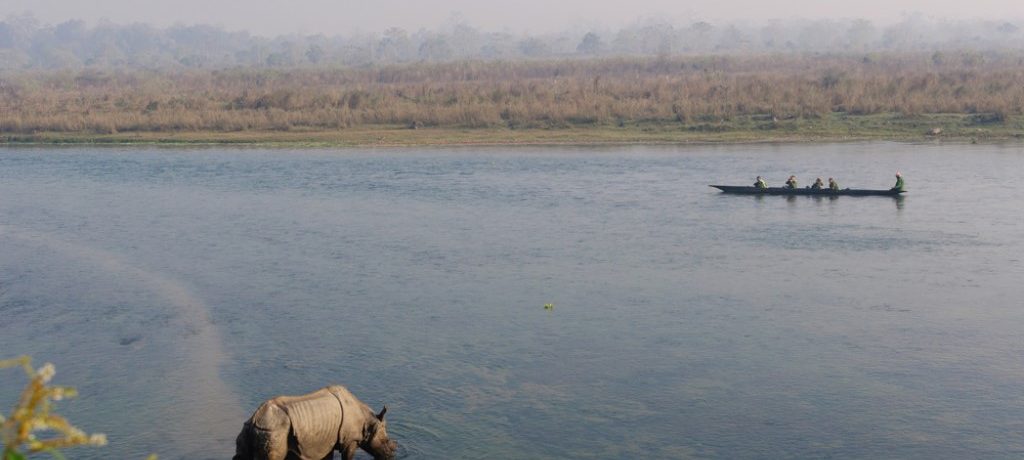 Neushoorn, Nepal