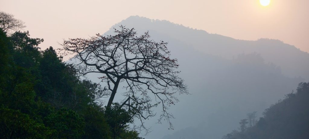 Chitwan National Park, Nepal