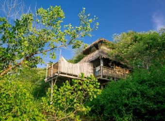 Boomhut Saba Chole Mjini Lodge