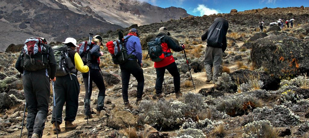 Kilimanjaro beklimmen via Lemosho route