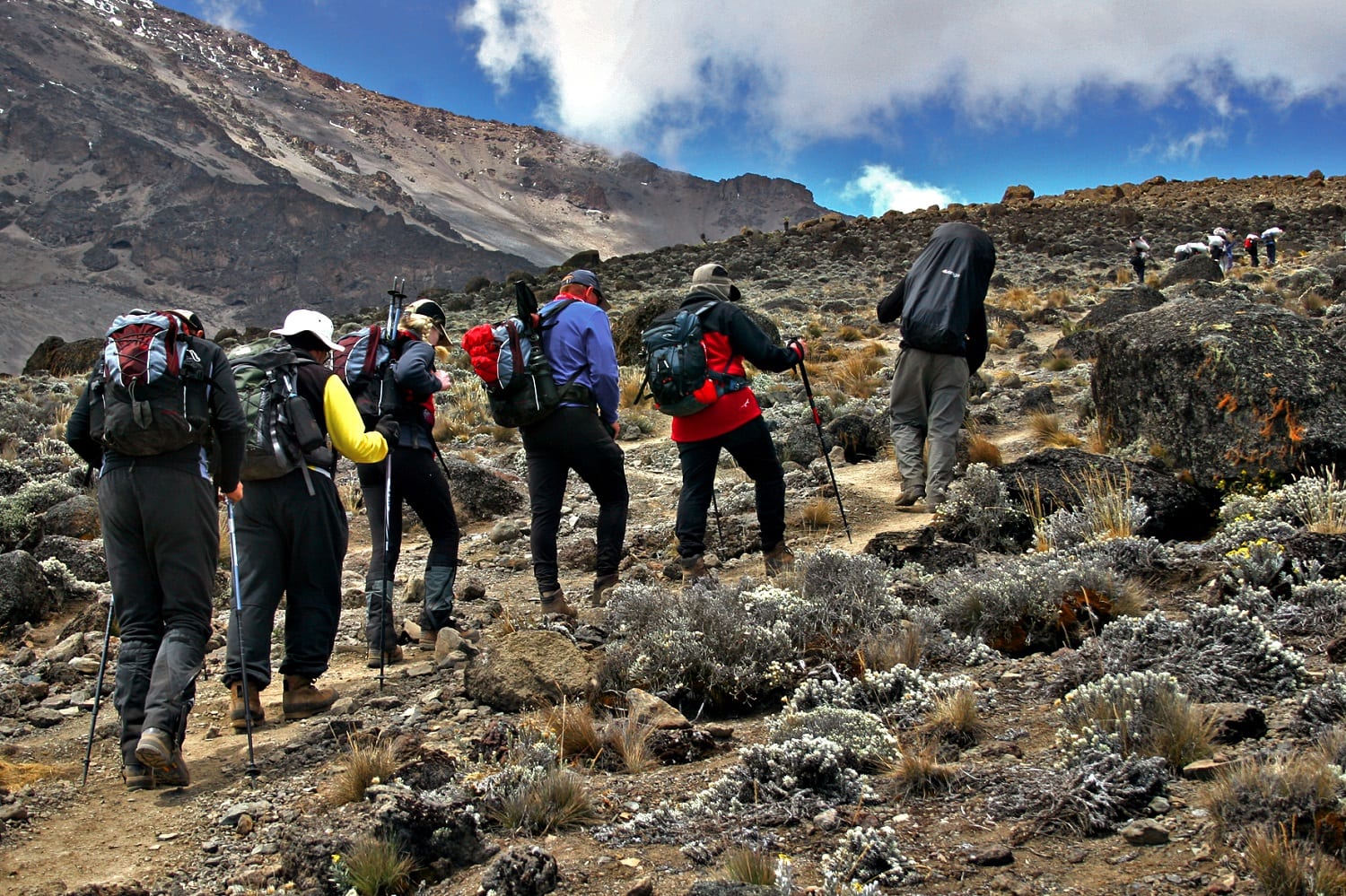 Kilimanjaro beklimmen via Lemosho route