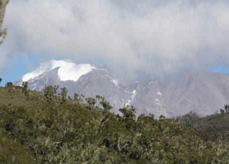 Kilimanjaro landschap