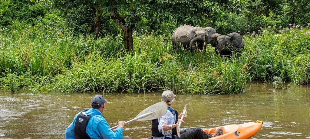 Congo en Centraal Afrikaanse Republiek