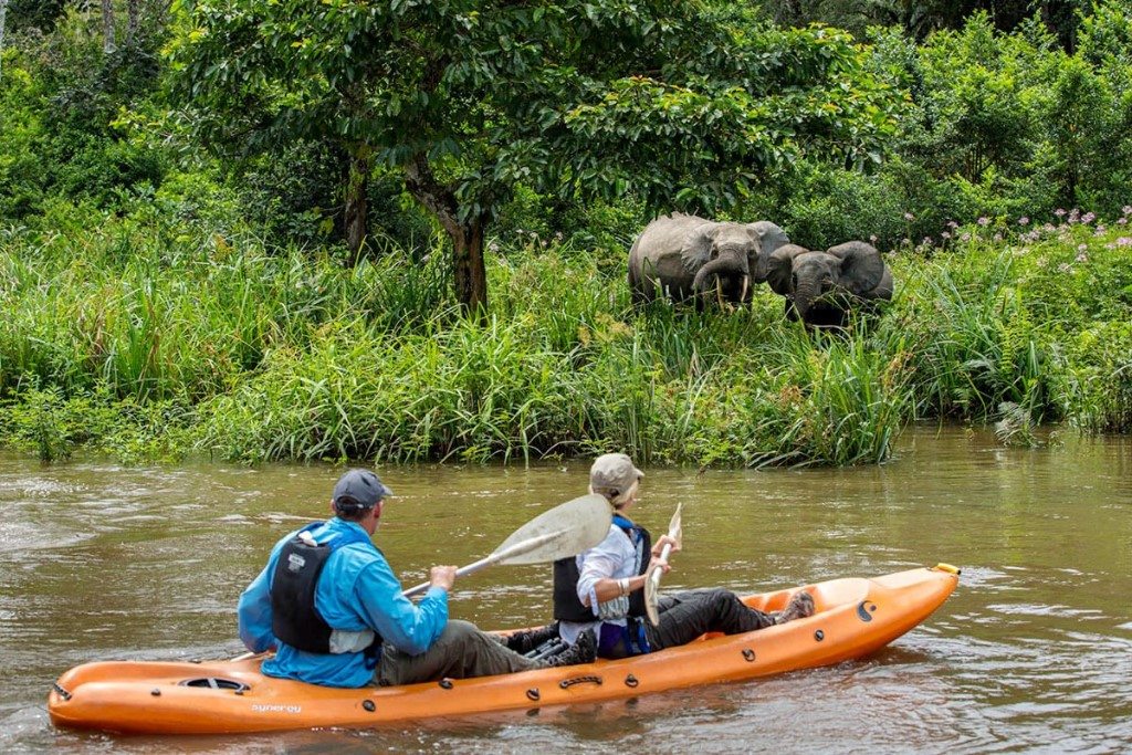 Odzala en Dzanga Sangha