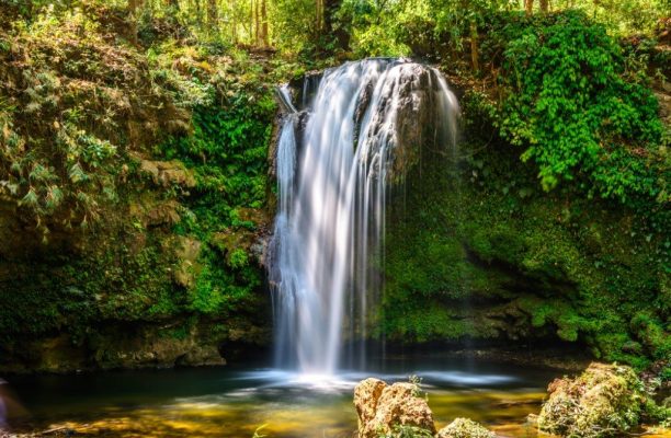 Corbett NP