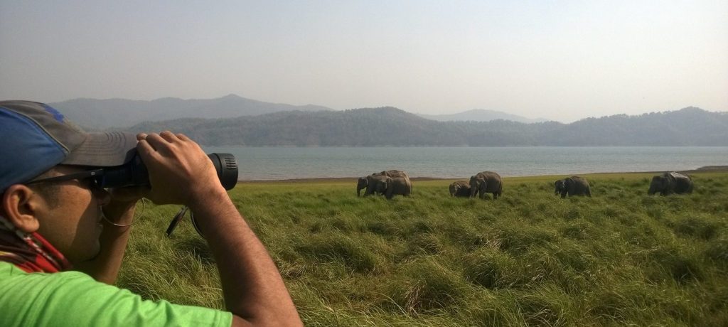 Olifant safari, Corbett National Park, India © Ssaurism