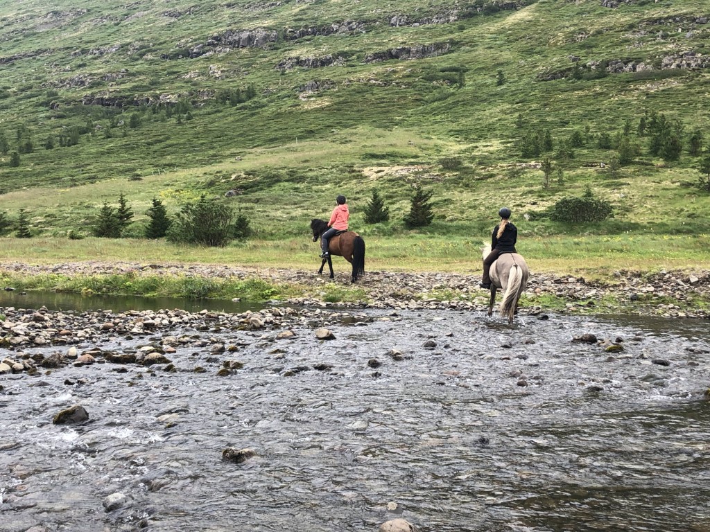 Paardrijden